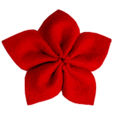 Flor de 5 petalos rojo